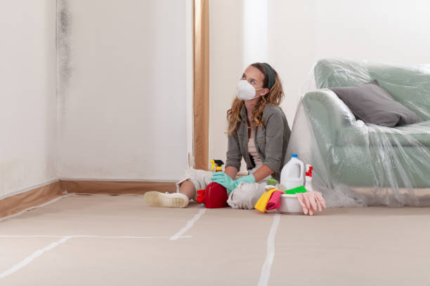 Reliable Mold Cleanup contractor in Corapeake, NC by Cheap Mold Removal